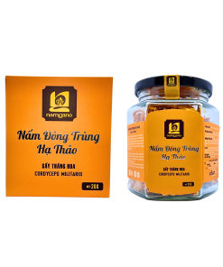 ĐÔNG TRÙNG HẠ THẢO SẤY THĂNG HOA 20g