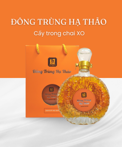 Đông trùng hạ thảo cấy trong chai XO 500 ml